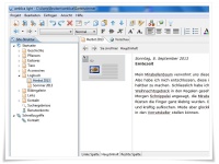 Printscreen der Software Weblica